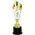 Silver/Gold Star Metal Cup Trophy on Plastic Base